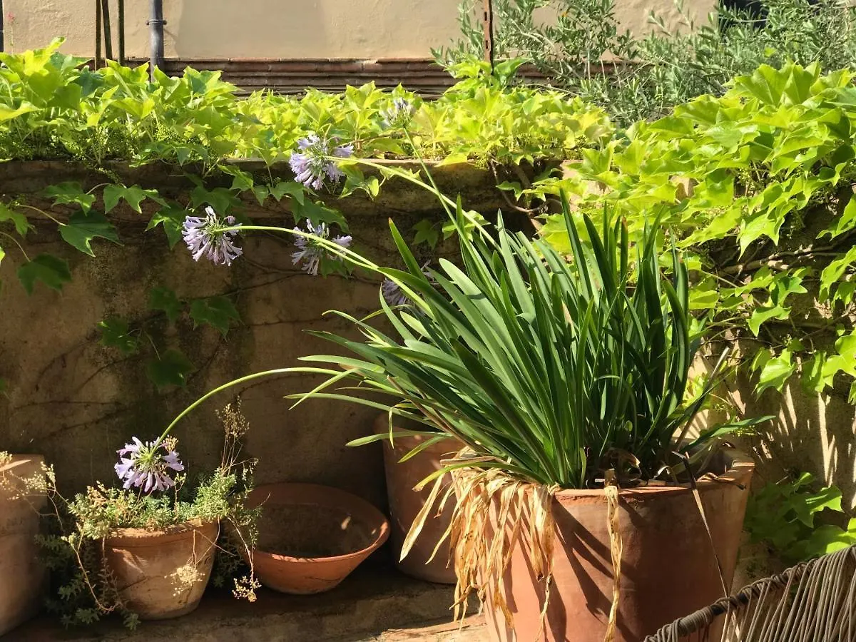 Casa Migdia Bed & Breakfast Sant Jordi Desvalls 3*,