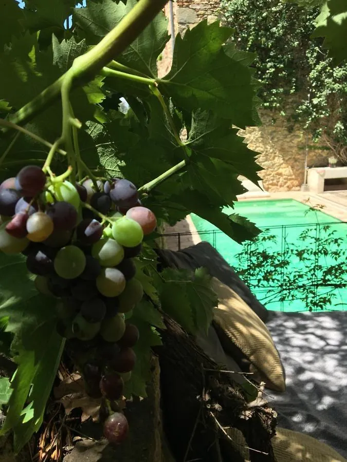 Casa Migdia Bed & Breakfast Sant Jordi Desvalls Spain